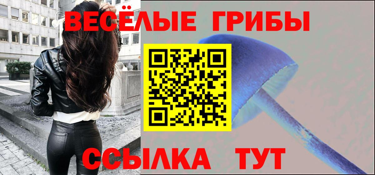 Старая Купавна  Псилоцибиновые грибы мухоморы  Вход с VPN  Псилоцибиновые грибы мухоморы 